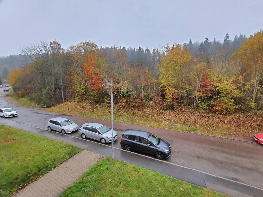 Two-Bedroom Apartment Near Triberg Waterfall トリベルク エクステリア 写真