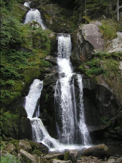 Two-Bedroom Apartment Near Triberg Waterfall トリベルク エクステリア 写真