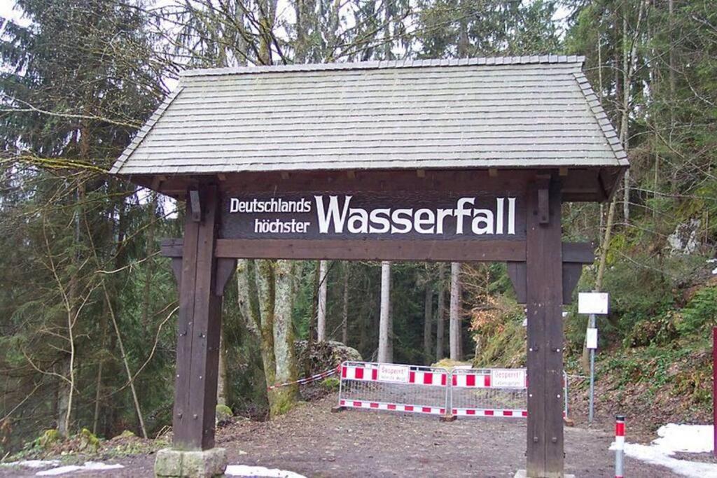 Two-Bedroom Apartment Near Triberg Waterfall トリベルク エクステリア 写真