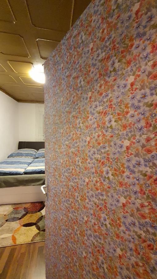 Two-Bedroom Apartment Near Triberg Waterfall トリベルク エクステリア 写真